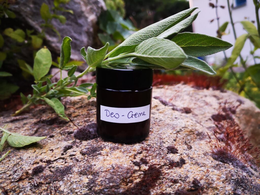 DIY-Deo-Creme mit Salbei
