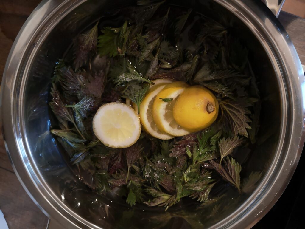 Brennnesselsirup Brennnesselsirup mit Zitronenschreiben