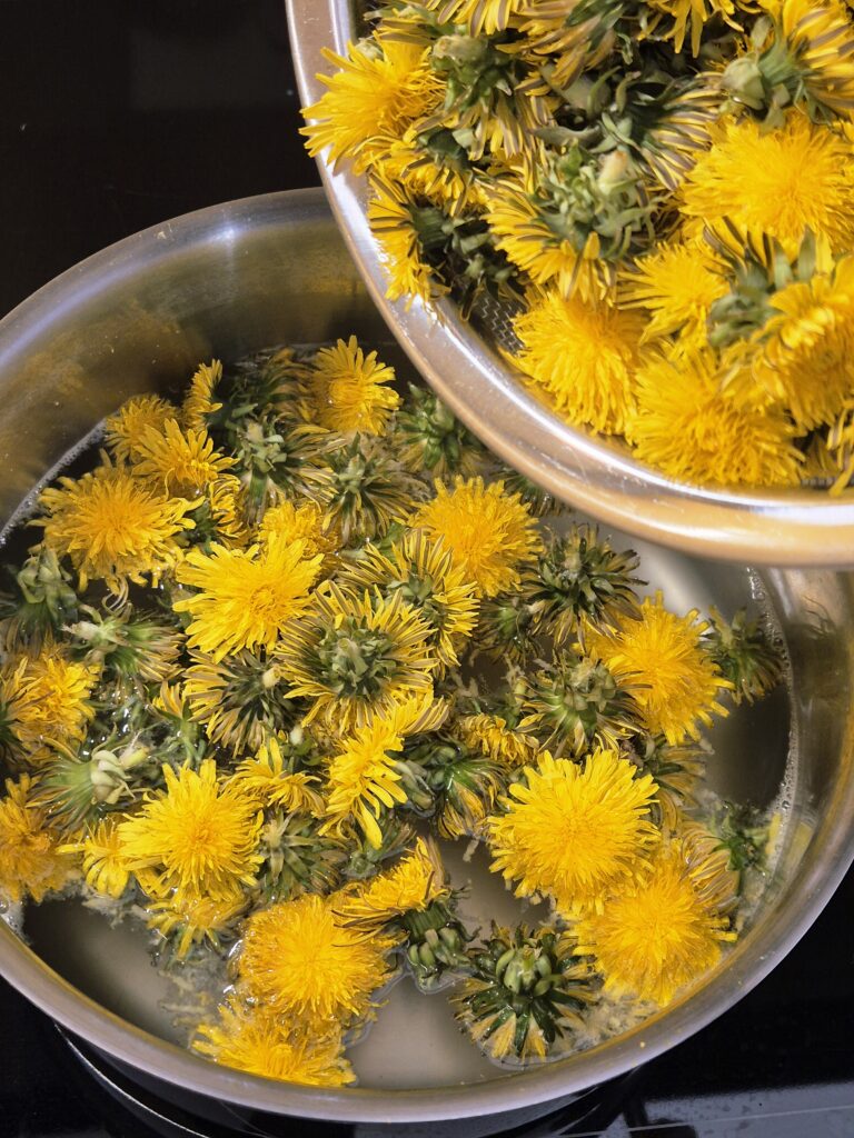 Löwenzahnsirup während der Zubereitung