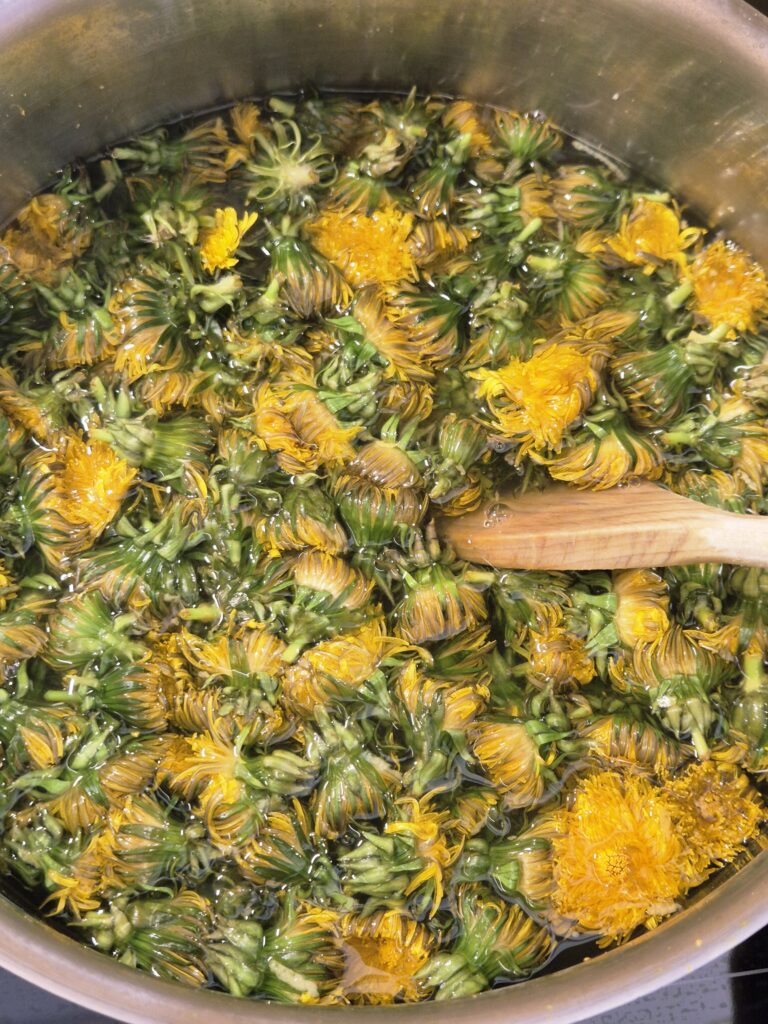 Löwenzahnsirup mit frischen Blüten