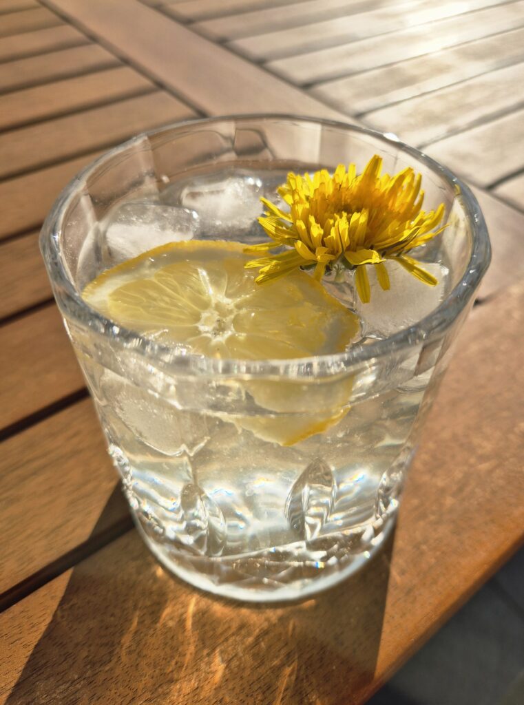 Löwenzahn-Sirup in Glas als Cocktail